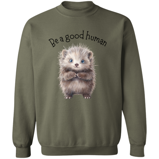 Be A Good Human, Cute Porcupine Cozy Pullover Sweatshirt, Inspirational Spread the Love Shirts, Choose your Color